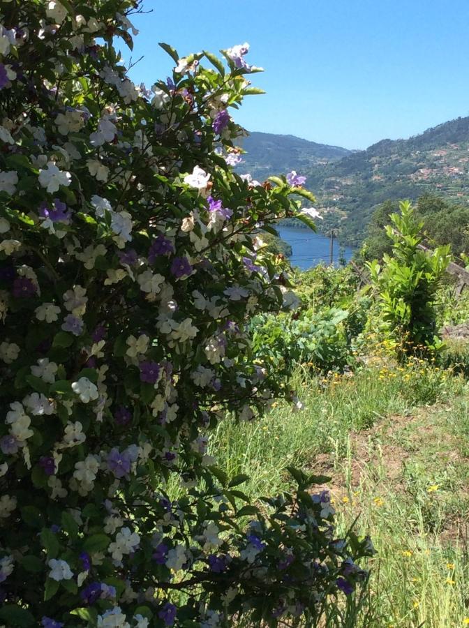 Family Secrets Douro Villa Ribadouro Exterior photo